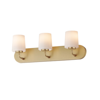 Durham Three Light Bath Vanity in Natural Aged Brass (16|12893WTNAB)