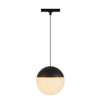 Monae LED Pendant in Black (347|TRP11707-BK-4K)