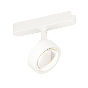 Continuum - Track LED Track Optical in White (86|ETL21214-WT)