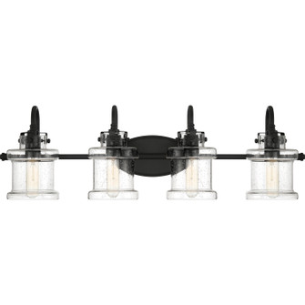 Danbury Four Light Bath Fixture in Earth Black (10|DNY8604EK)