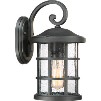 Crusade One Light Outdoor Wall Lantern in Earth Black (10|CSE8408EK)