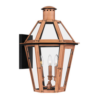 Burdett Three Light Outdoor Wall Lantern in Aged Copper (10|BURD8415AC)