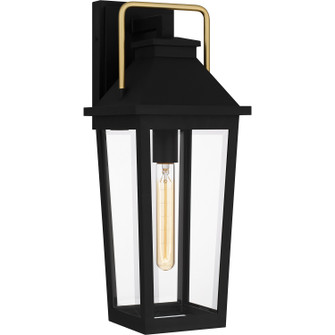 Buckley One Light Outdoor Wall Mount in Matte Black (10|BUK8407MBK)