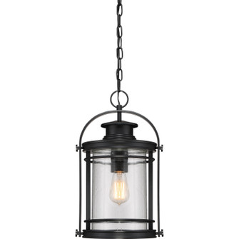 Booker One Light Outdoor Hanging Lantern in Mystic Black (10|BKR1910K)