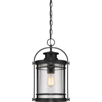 Booker One Light Mini Pendant in Mystic Black (10|BKR1510K)