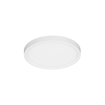 Slim Fit Slim Fit 7'' in White (303|SL7-5CCT-WH)
