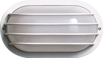 One Light Wall Lantern in White (72|SF77-858)