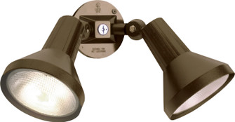 Two Light Floodlight in Bronze (72|SF77-495)