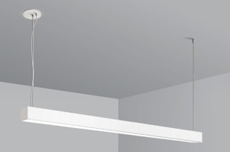 F55 LED Suspension Mount in White (40|F55830WSUS)