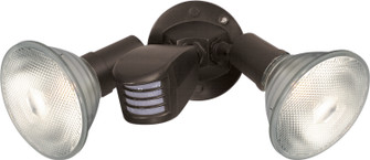 Two Light Floodlight in Bronze (72|SF76-503)