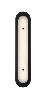 Tramore LED Wall Sconce in Powder Coat Black (40|49175-028)