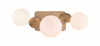 Vine LED Vanity in Gold (40|49085-013)