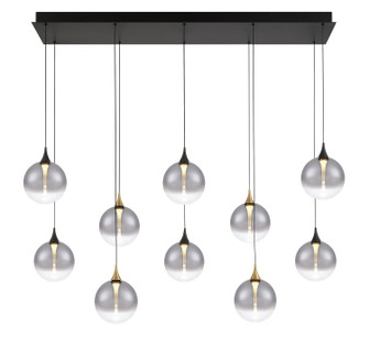 Iissa Ten Light Chandelier in Gold-Black (40|48934-022)