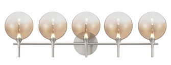 Iissa Five Light Vanity in Nickel (40|48920-032)