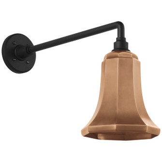 Academy Barn Light LED Barn Light in Matte Black (268|TOB 2812MBK/S8-SC)