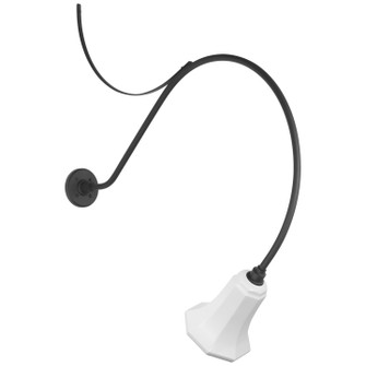 Academy Barn Light LED Barn Light in Matte Black (268|TOB 2807MBK/S8-WHT)