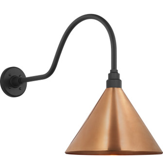 Academy Barn Light LED Barn Light in Matte Black (268|TOB 2802MBK/S11-SC)