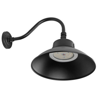 LED Gooseneck in Black (72|65-661)