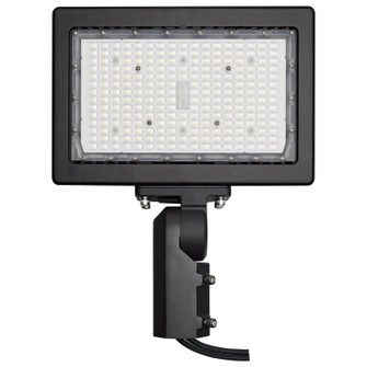 LED Flood Light in Bronze (72|65-620R1)