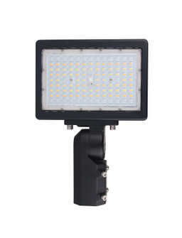 LED Flood Light in Bronze (72|65-619)