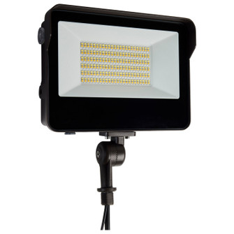 LED Flood Light in Bronze (72|65-542)