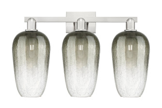 Arcadia Three Light Bath Vanity in Brushed Satin Nickel (405|716-3W-SN-G484-7SL)