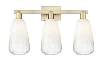 Arcadia Three Light Bath Vanity in Antique Brass (405|716-3W-AB-G480-6OP)