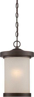Diego LED Outdoor Hanging Lantern in Mahogany Bronze (72|62-645)