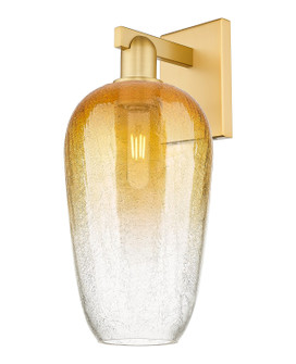 Arcadia One Light Wall Sconce in Satin Gold (405|716-1W-SG-G484-7AM)