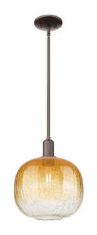Arcadia One Light Mini Pendant in Oil Rubbed Bronze (405|716-1S-OB-G481-10AM)