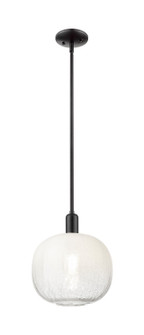 Arcadia One Light Mini Pendant in Matte Black (405|716-1S-BK-G481-10OP)