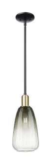 Arcadia One Light Mini Pendant in Black Antique Brass (405|716-1S-BAB-G480-6SL)