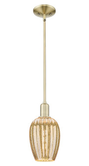 Arcadia One Light Mini Pendant in Antique Brass (405|716-1S-AB-G457-6ME)
