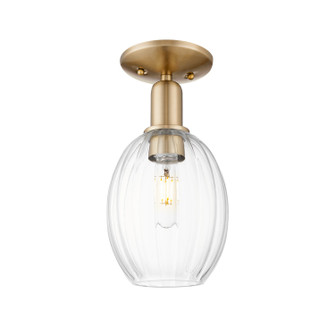 Arcadia One Light Semi-Flush Mount in Champagne Bronze (405|716-1C-CB-G459-6CL)