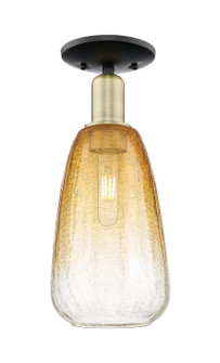 Arcadia One Light Semi-Flush Mount in Black Antique Brass (405|716-1C-BAB-G480-6AM)