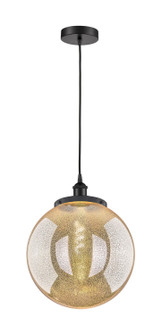 Edison One Light Mini Pendant in Matte Black (405|616-1PH-BK-G208-14)