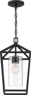 Hopewell One Light Hanging Lantern in Matte Black (72|60-6594)