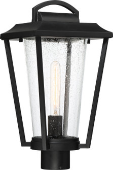 Lakeview One Light Post Lantern in Aged Bronze / Brass Accents (72|60-6513)