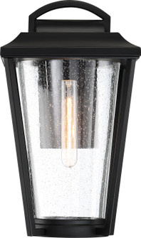 Lakeview One Light Outdoor Wall Lantern in Aged Bronze / Brass Accents (72|60-6512)