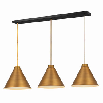 Eaton Three Light Pendant in Rubbed Brass (224|6011P18-3L-RB)