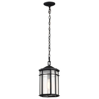 Raiden One Light Outdoor Hanging Lantern in Matte Black (72|60-5759)