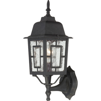 Banyan One Light Wall Lantern in Textured Black (72|60-4926)