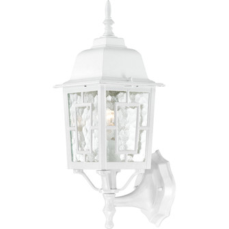 Banyan One Light Wall Lantern in White (72|60-4924)
