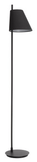 Estaziona One Light Floor Lamp in Structured Black (217|99015A)