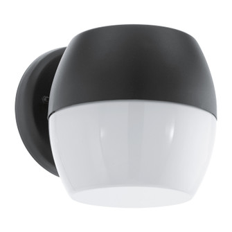 Oncala LED Outdoor Wall Mount in Black (217|95981A)