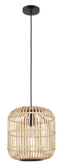 Bordesley One Light Pendant in Black (217|43216A)