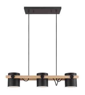 Hornwood Three Light Pendant in Black (217|43045A)