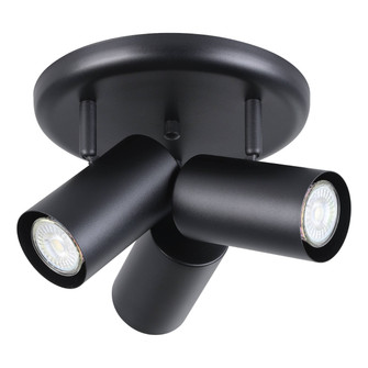 Calloway LED Track Light in Black (217|206043A)