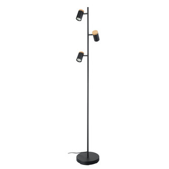 Chatterton LED Floor Lamp in Structured Black & Wood Accent (217|205831A)