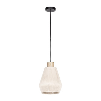 Lanier One Light Pendant in Black (217|205762A)